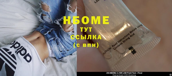 ПСИЛОЦИБИНОВЫЕ ГРИБЫ Арсеньев