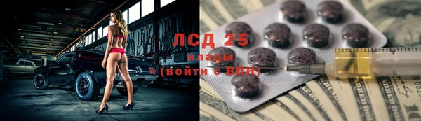 ПСИЛОЦИБИНОВЫЕ ГРИБЫ Арсеньев