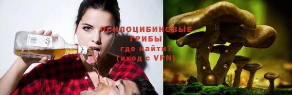 сатива Саяногорск