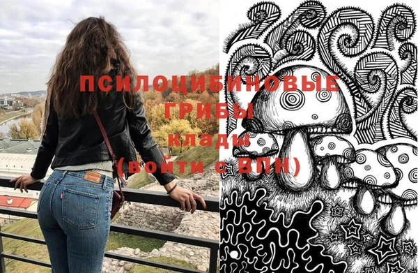 молекула духа Аркадак