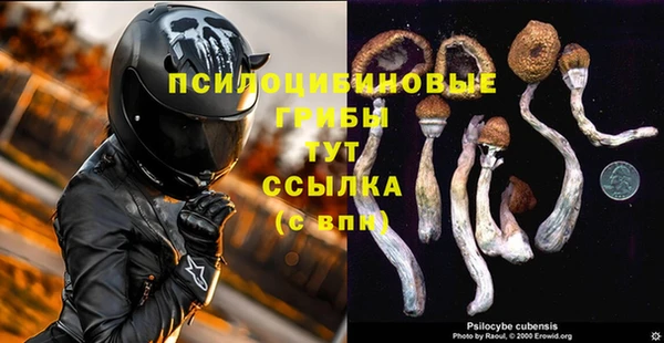 молекула духа Аркадак