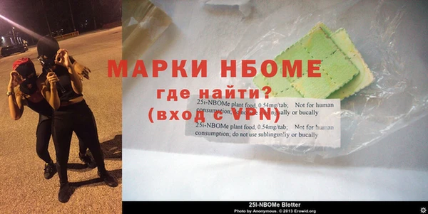 ПСИЛОЦИБИНОВЫЕ ГРИБЫ Арсеньев
