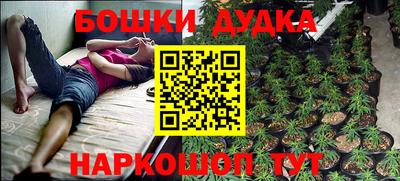 ГАЛЛЮЦИНОГЕННЫЕ ГРИБЫ Малоярославец